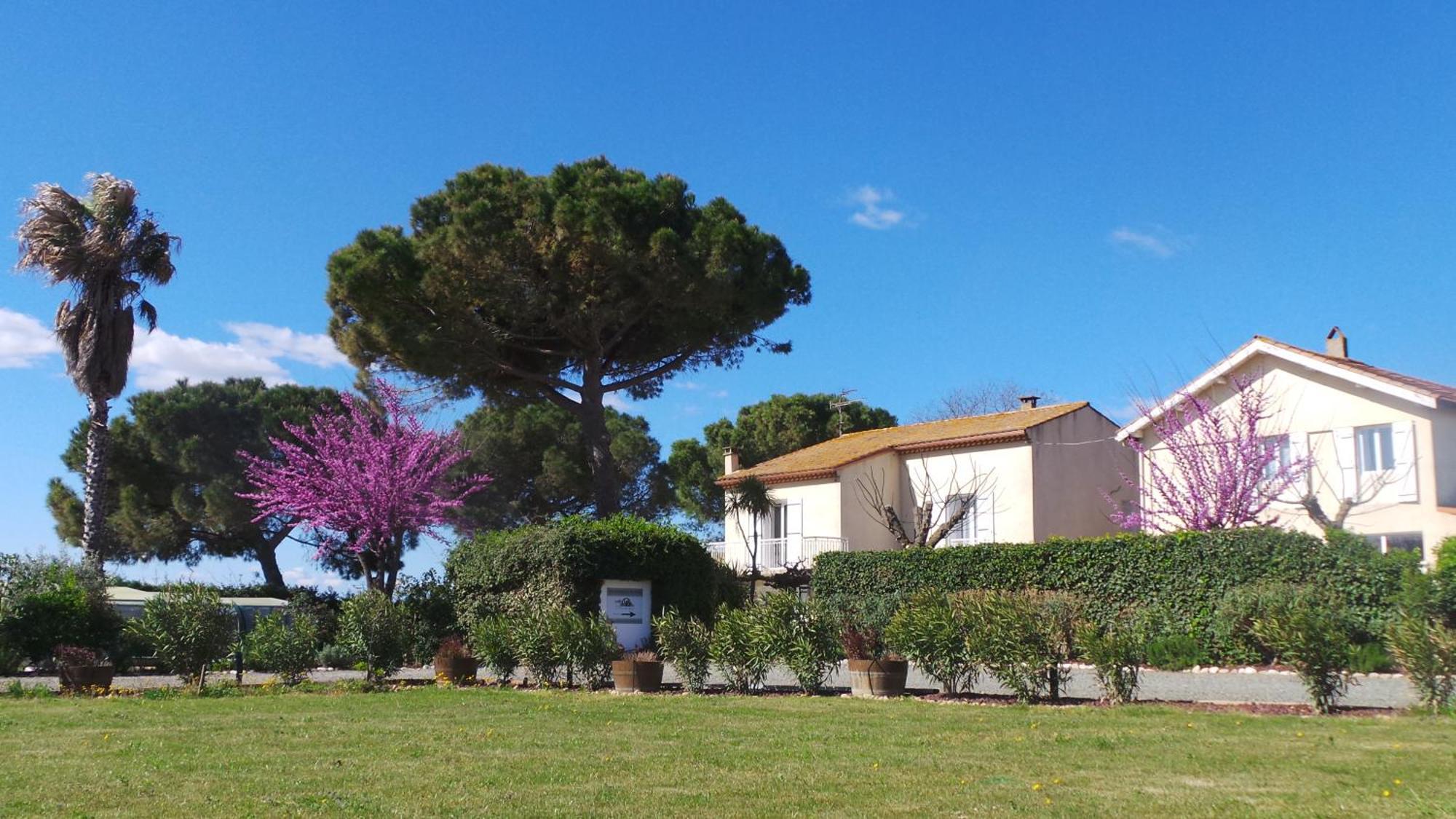 A L'Oree Des Vignes Montady Exterior photo